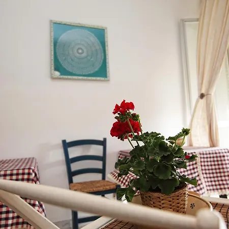 B&B Brezza Di Mare *